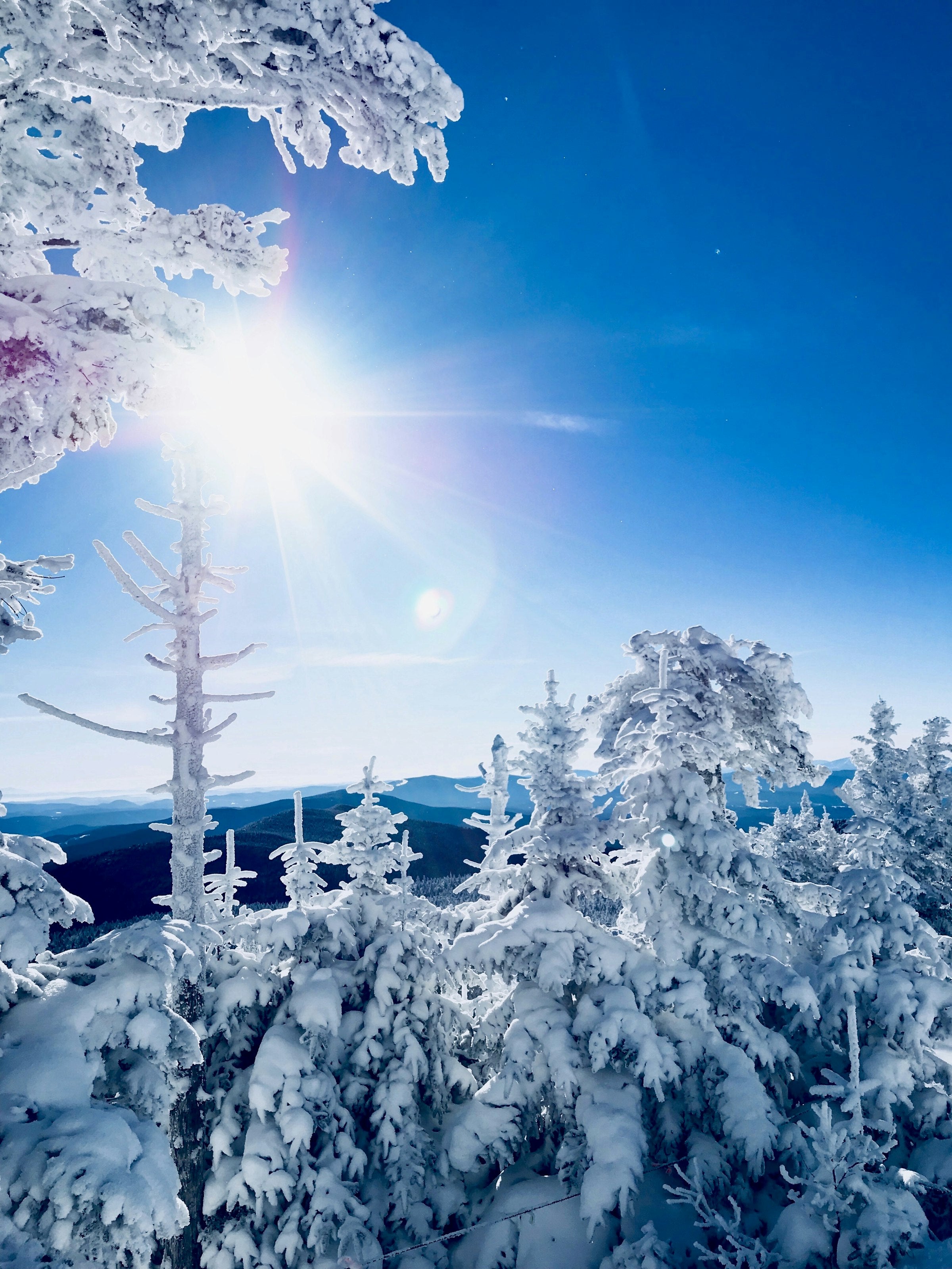 Vermont alpine